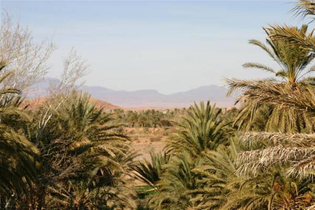 Riad Sarayas Tajda Exteriör bild