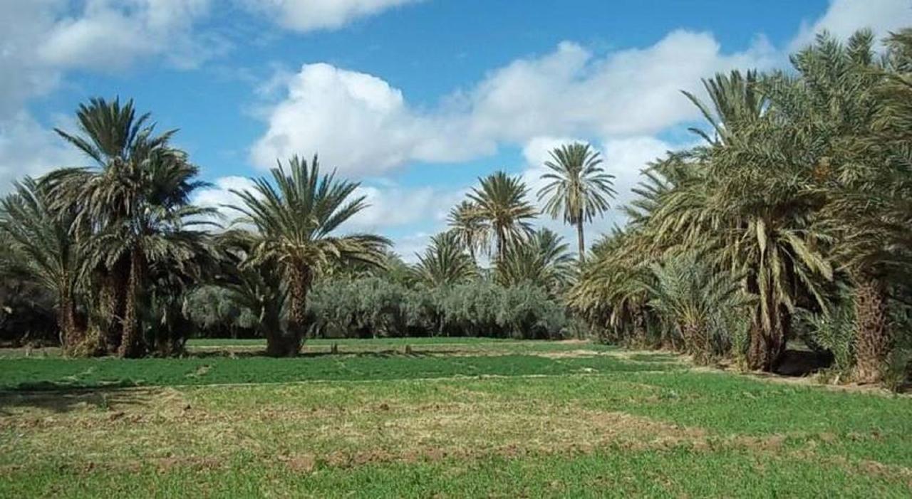 Riad Sarayas Tajda Exteriör bild