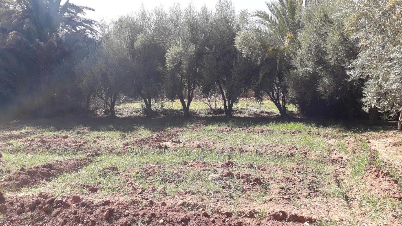 Riad Sarayas Tajda Exteriör bild