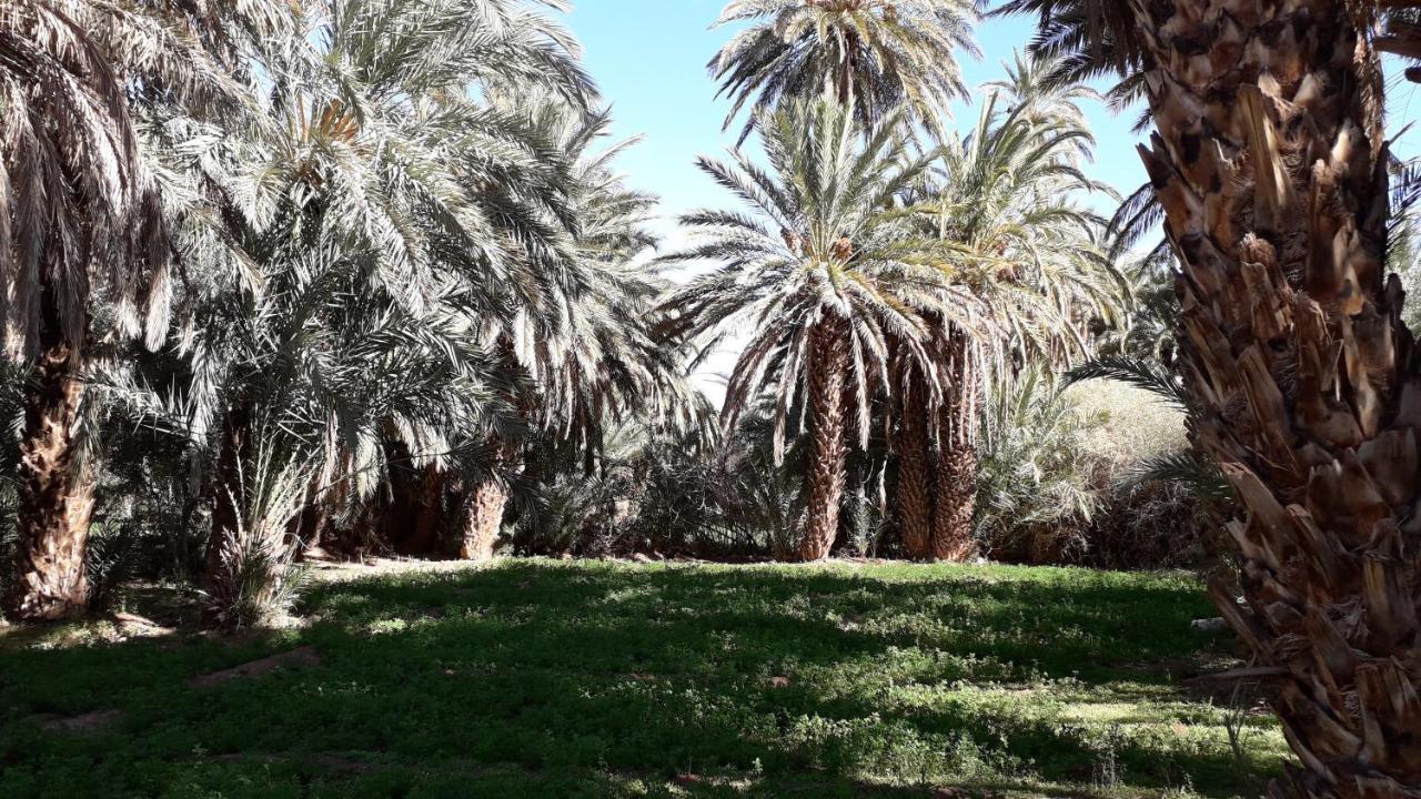 Riad Sarayas Tajda Exteriör bild